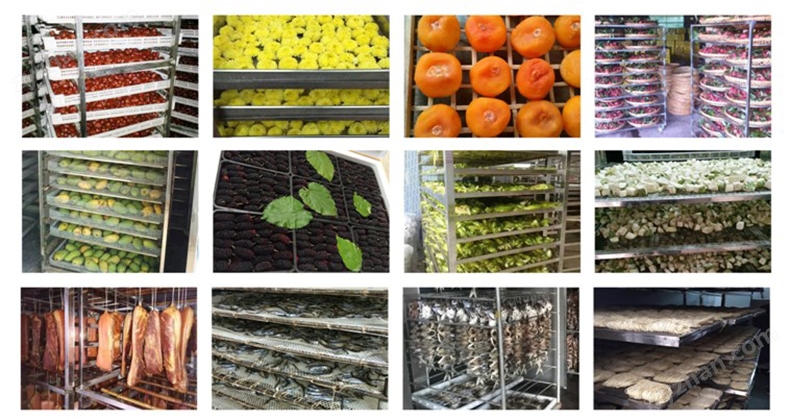 全球外贸获客系统:策略、工具与成功案例分析